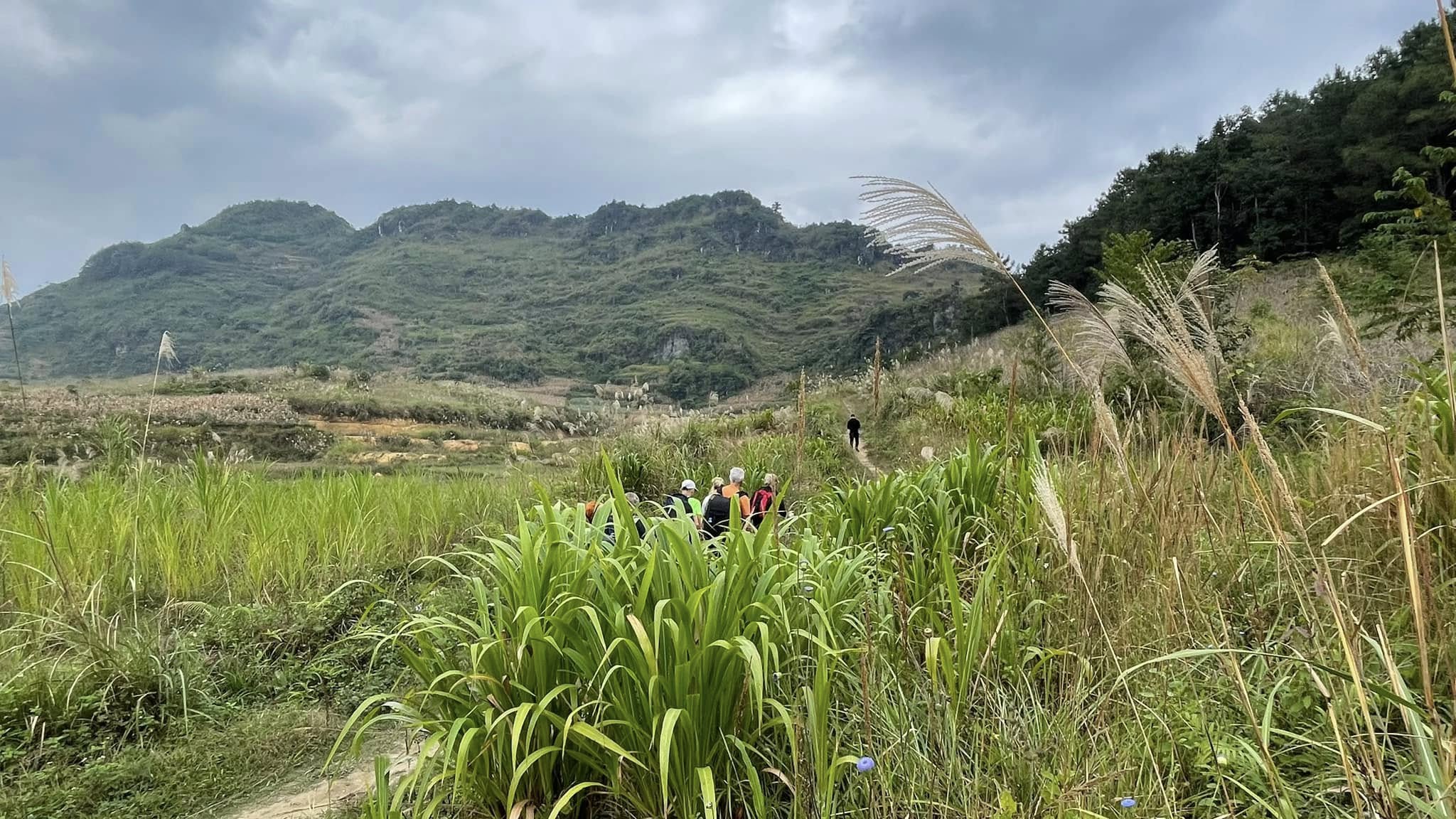 Vietnam Bicycle Trips